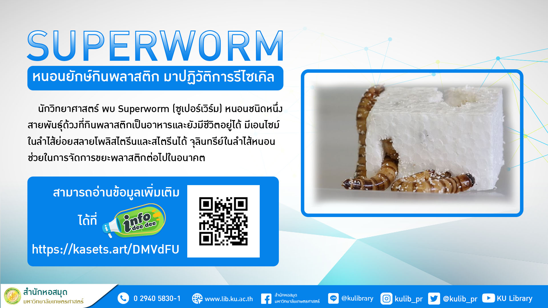 20230516 superworm