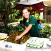 eco-libraryและทิศทางการพัฒนาห้องสมุดสีเขียวในอนาคต