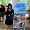 Green Market in the Library