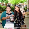 Green market in the library