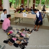 Green market in the library