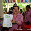 Green market in the library