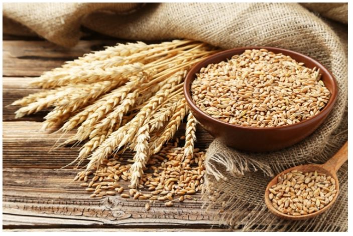 A bowl of grain next to wheat
AI-generated content may be incorrect.